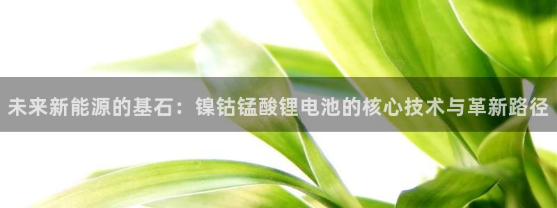 okpay钱包是那个公司：未来新能源的基