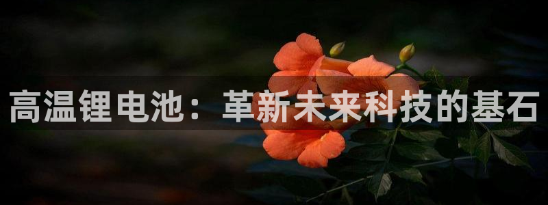 okpay钱包旧版本：高温锂电池：革新未